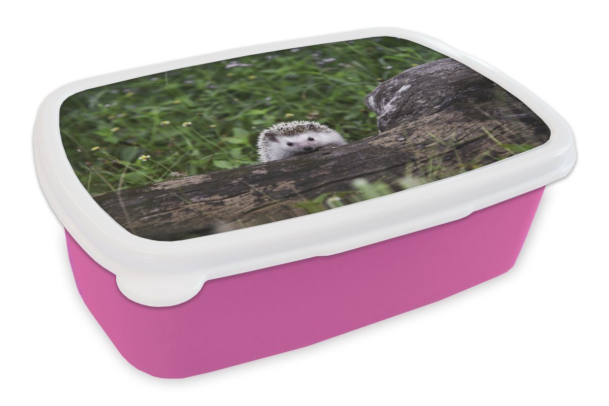 MuchoWow Lunchbox Igel - Baumstamm Kunststoff Brotdose Kunststoff, - Erwachsene, Natur, Snackbox, (2-tlg), rosa Brotbox Kinder, Mädchen, für