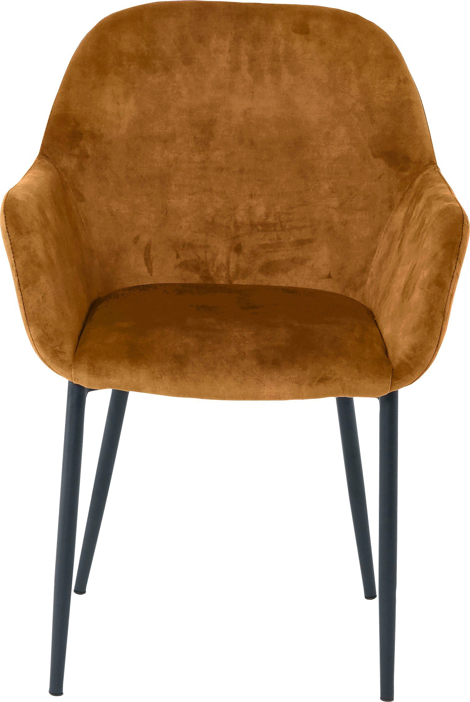 SIT Armlehnstuhl (Set, 2 St), glamouröser Bezug in Samtoptik