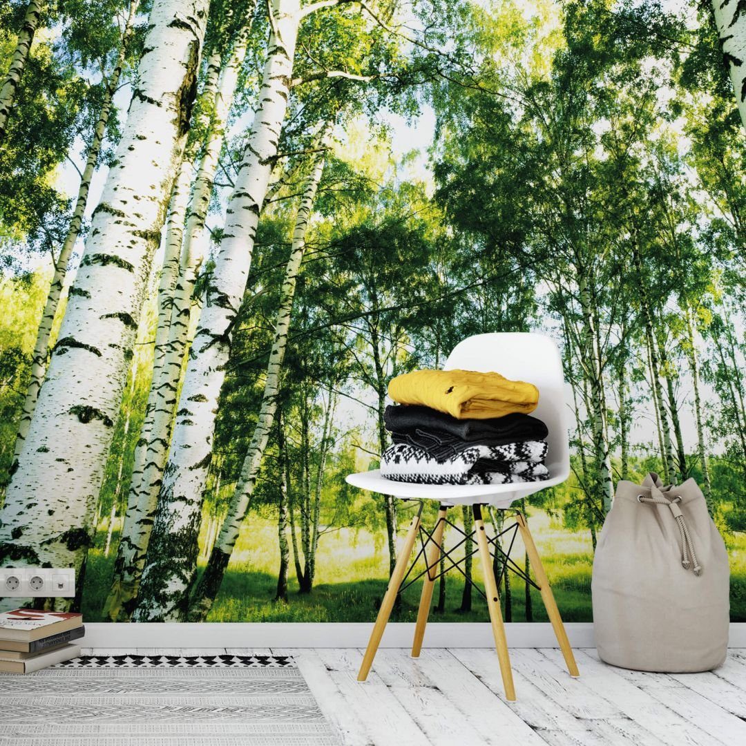 Wizard + Genius Fototapete XXL Tapete Sonnenstrahlen im Wald Papiertapete Birkenwald, Wohnzimmer Wandbild modern