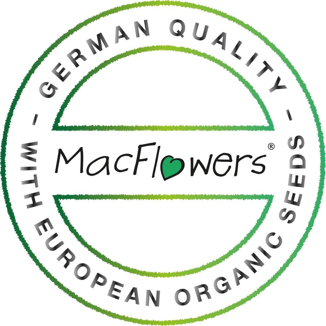 MacFlowers Glücksklee Anzuchttopf in MacFlowers® Dose Blumen - der St) von (1