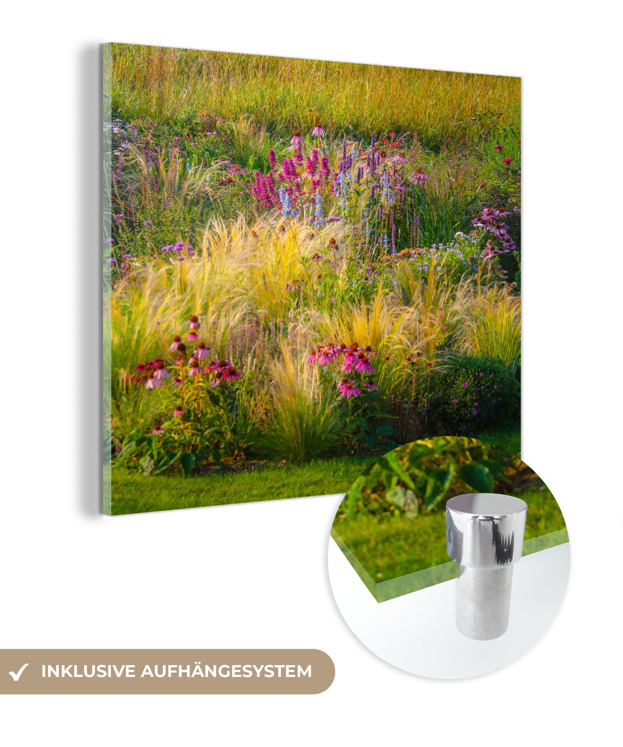 MuchoWow Acrylglasbild Ziergras mit farbigen Blüten, (1 St), Glasbilder - Bilder auf Glas Wandbild - Foto auf Glas - Wanddekoration