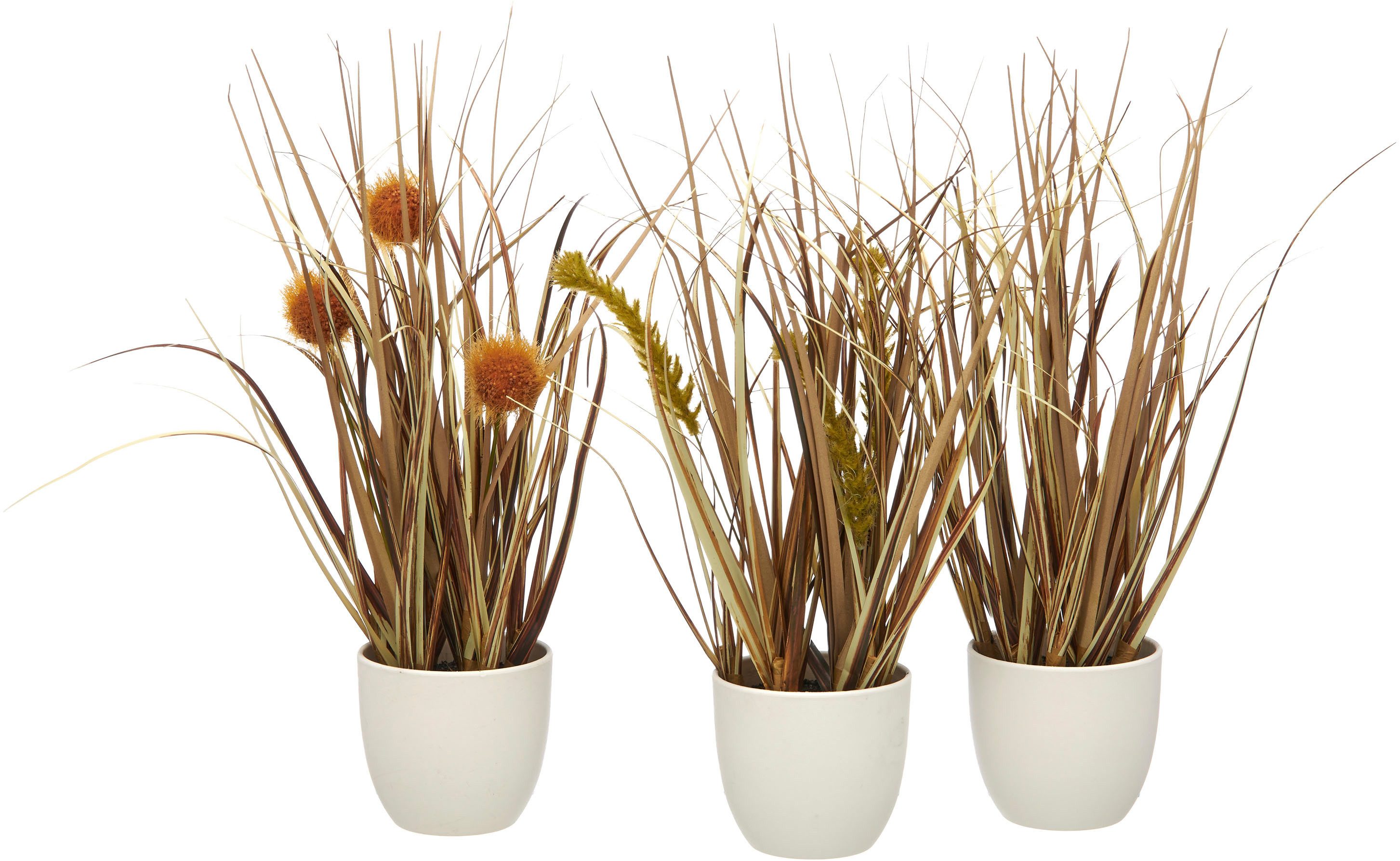 Kunstgras Grasbusch Düne, Creativ green, Höhe 26 cm, als Set aus drei Ausfü günstig online kaufen