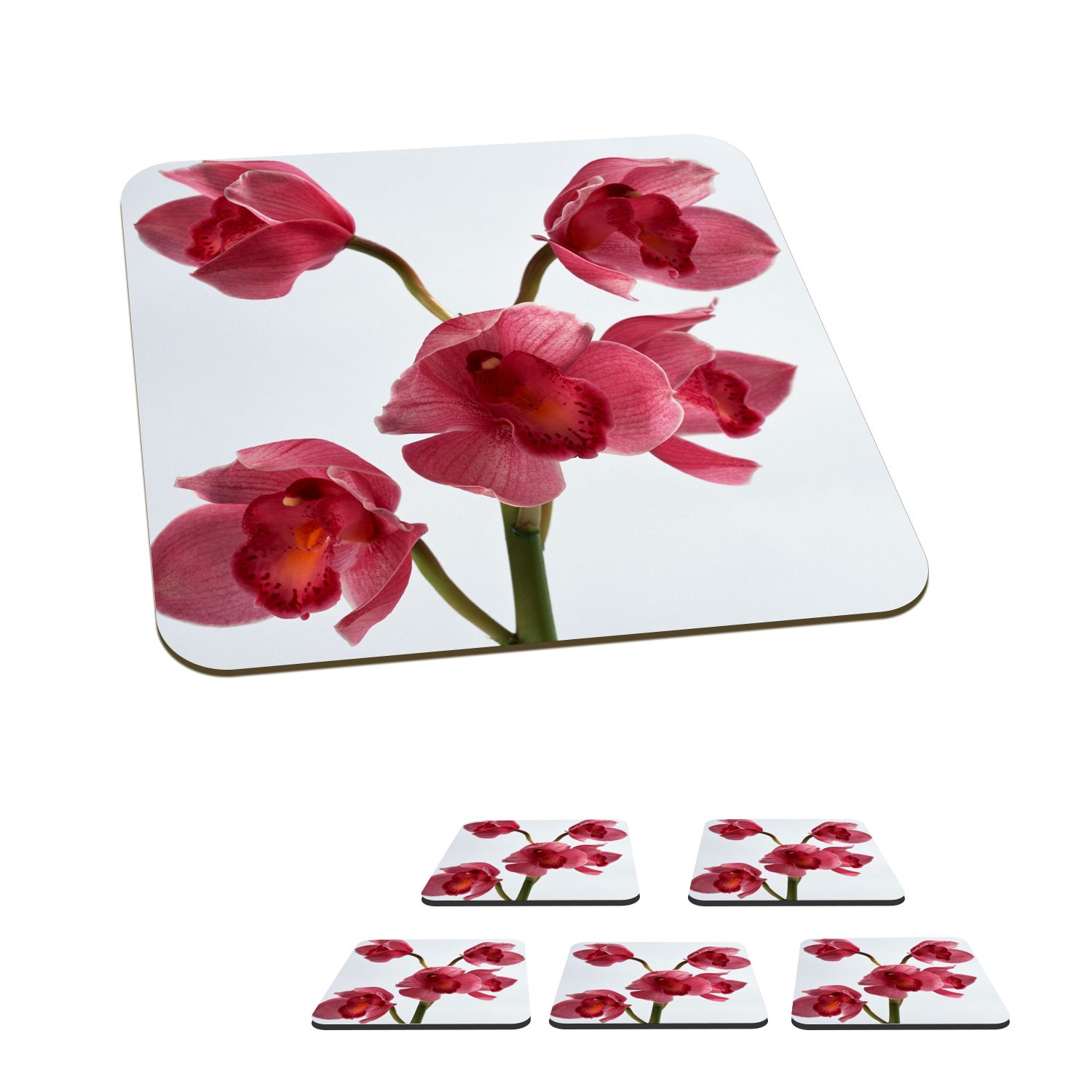 MuchoWow Glasuntersetzer Rote Orchideen für einen hellen Hintergrund, Zubehör für Gläser, 6-tlg., Glasuntersetzer, Tischuntersetzer, Korkuntersetzer, Untersetzer, Tasse