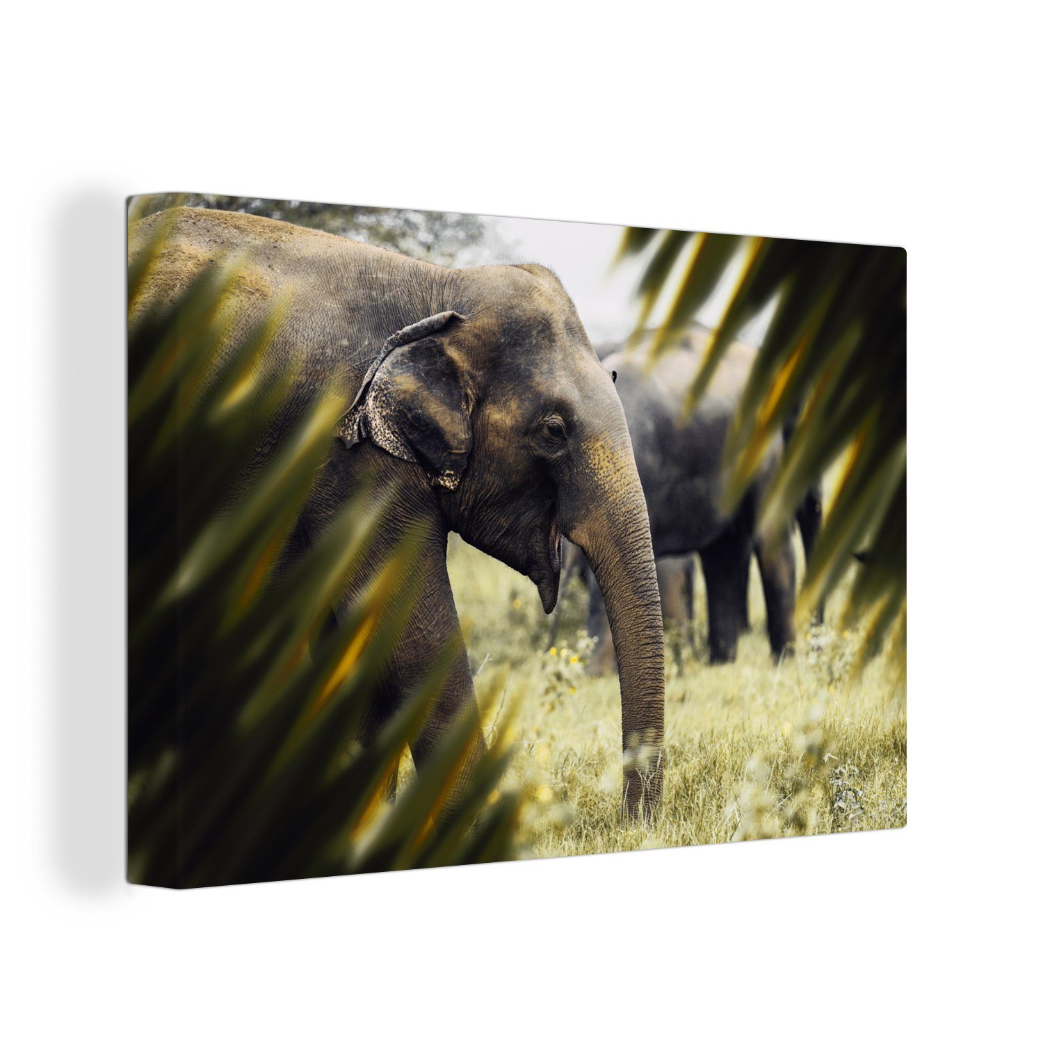 OneMillionCanvasses® Leinwandbild Elefant - Natur - Blätter, (1 St), Wandbild Leinwandbilder, Aufhängefertig, Wanddeko, 30x20 cm