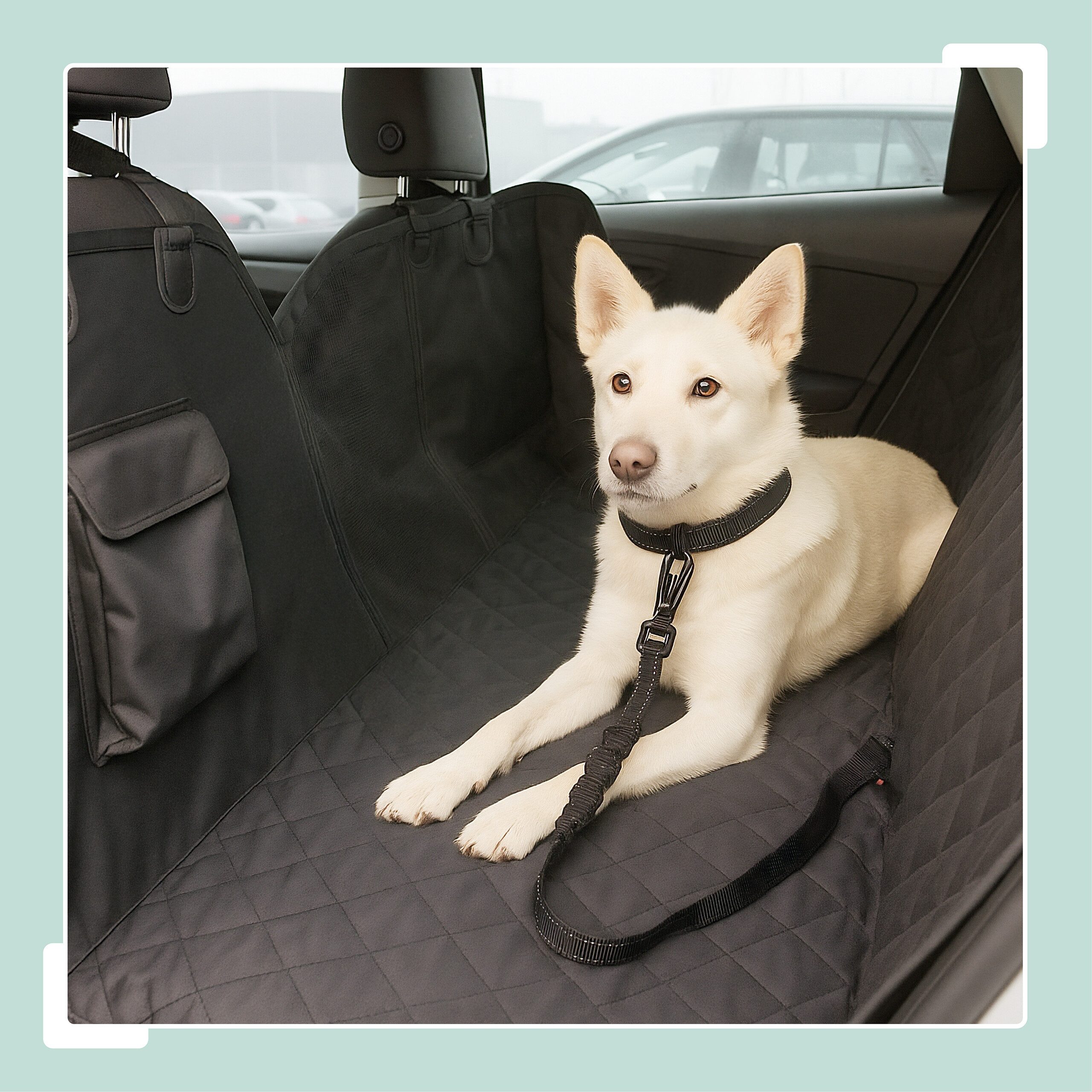 relaxdays Autohundegeschirr Verstellbarer Hundegurt für Auto, Kunststoff