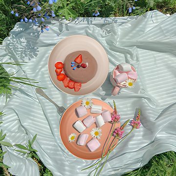Caterize Speiseteller Unzerbrechliches Speiseteller-Set,tiefes Picknick-Teller Kunststoff, (4 St)