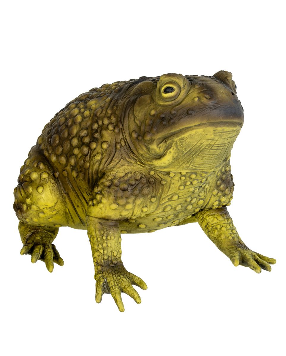 Horror-Shop Dekoobjekt Dämonische Riesen-Schleimkröte Morbella als Hallow