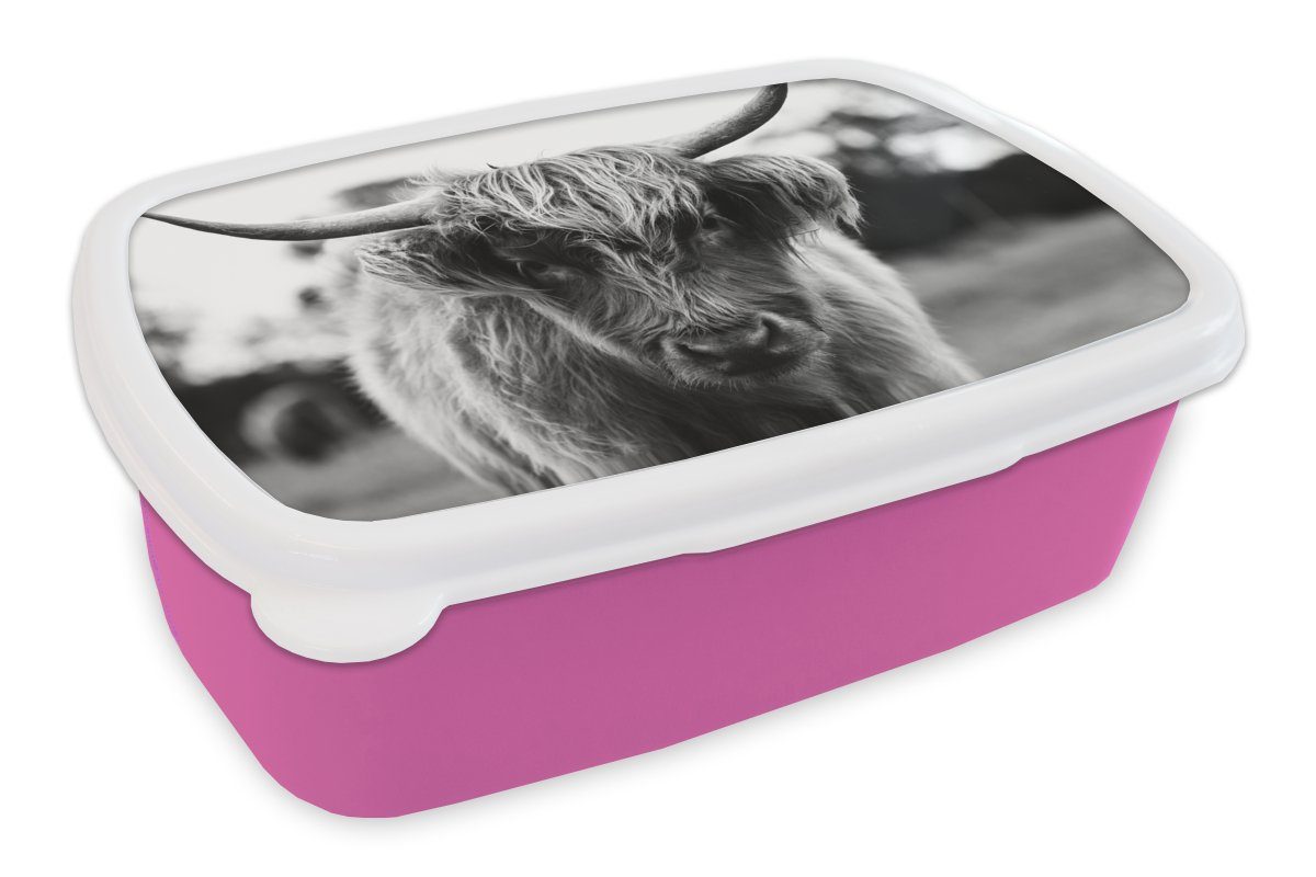 MuchoWow Lunchbox Schottischer Kunststoff - Tiere Highlander Mädchen, Natur, Snackbox, Brotbox Kuh Erwachsene, Kinder, rosa Gras - (2-tlg), Kunststoff, für - - Brotdose