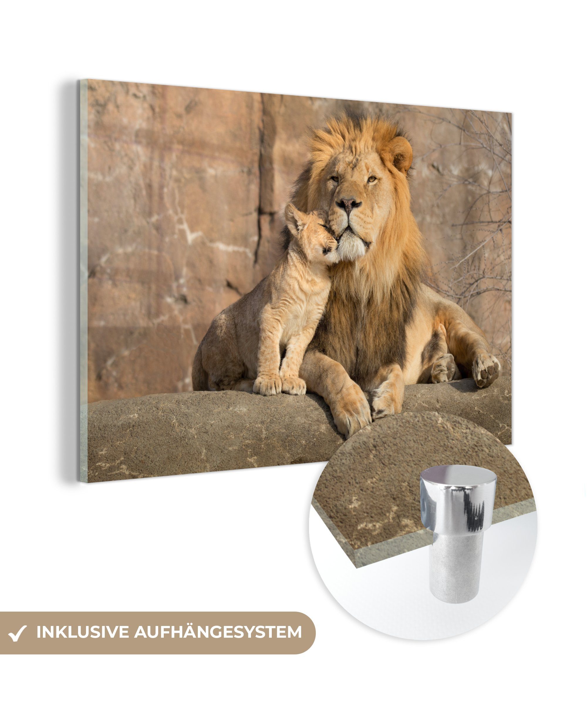MuchoWow Acrylglasbild - Steine auf Wanddekoration - - - St), Löwen Foto - Glas Glas Bilder Porträt, (1 Wandbild auf Glasbilder