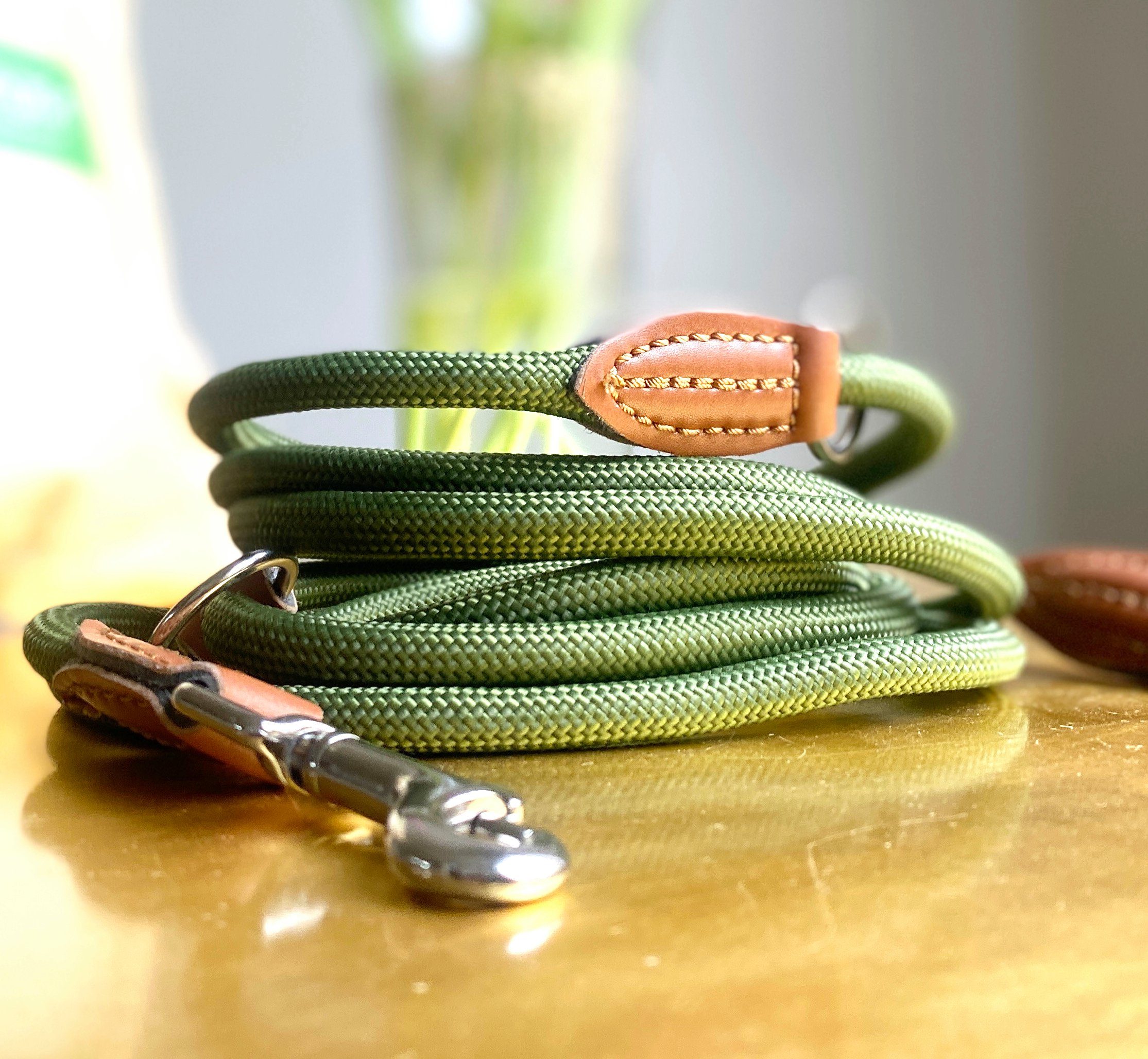 Leisegrün Hundeleine Hundeleine für kleine Hunde, 4-fach verstellbar mit 2 Karabiner, 3 m, Nylon