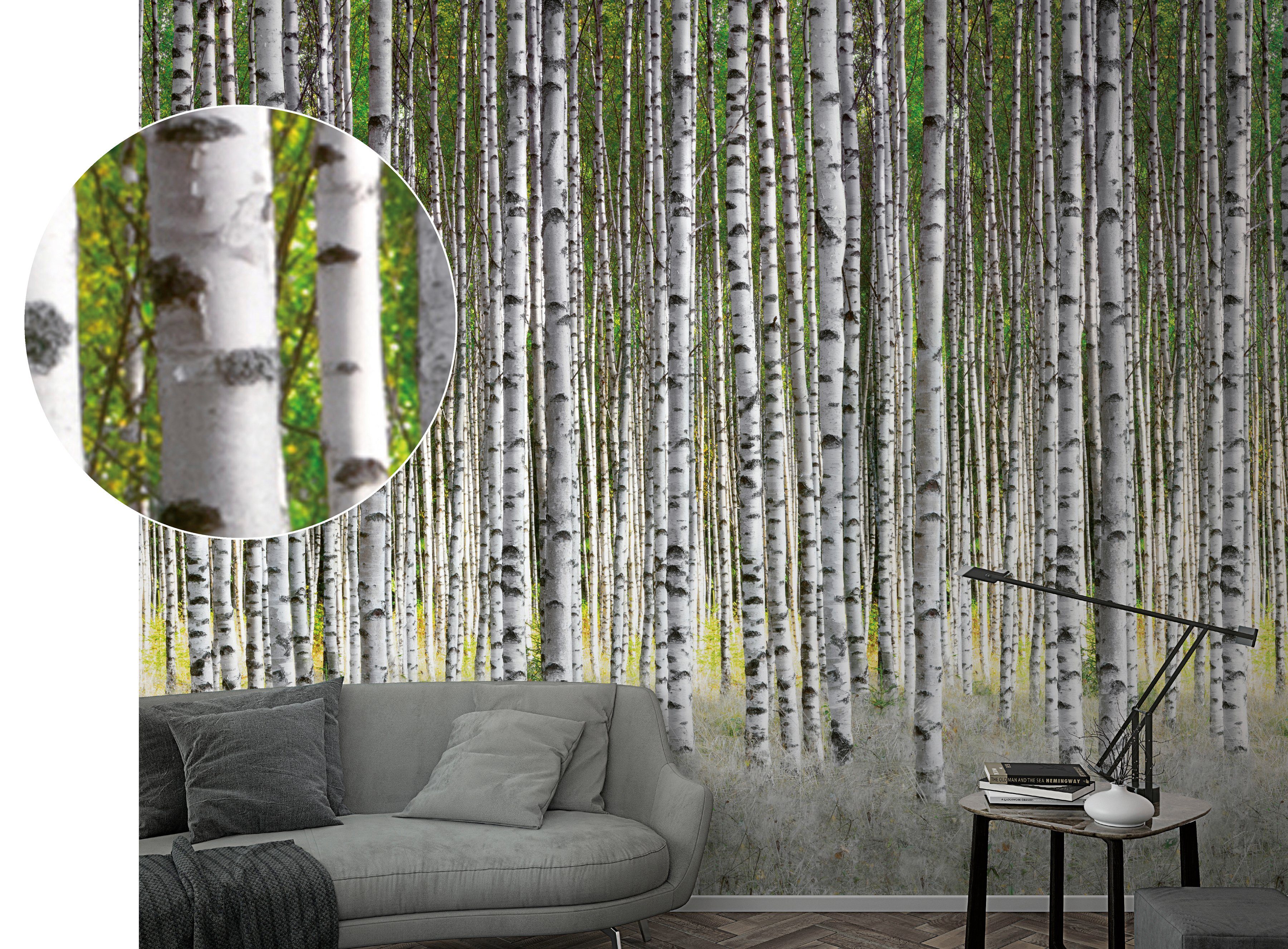 Marburg Fototapete, Wald, moderne Tapete für Wohnzimmer Schlafzimmer Küche