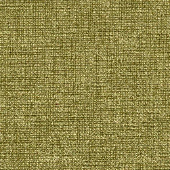 NIEHOFF SITZMÖBEL Sitzhöhe verschiedene und (2 cm 2er 48 Set, Farbvarianten St), grün Funktionen, Schalenstuhl Coppa