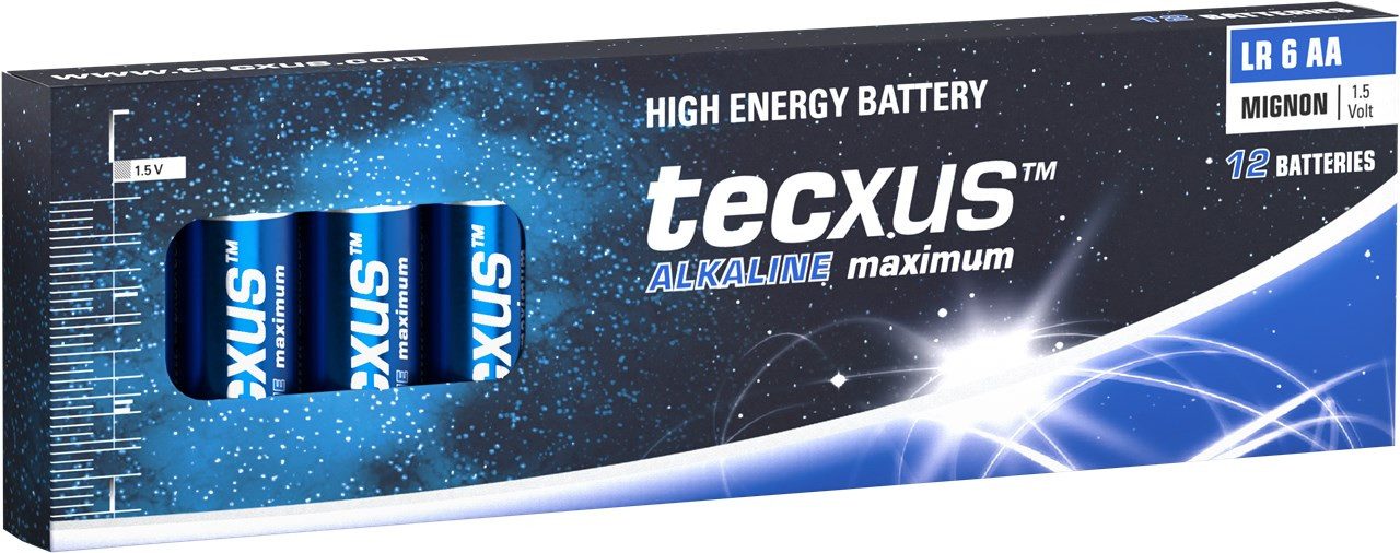 tecxus Tecxus 59579 LR6/AA (Mignon) Alkali-Mangan Batterie (Alkaline), 1,5 V Akku