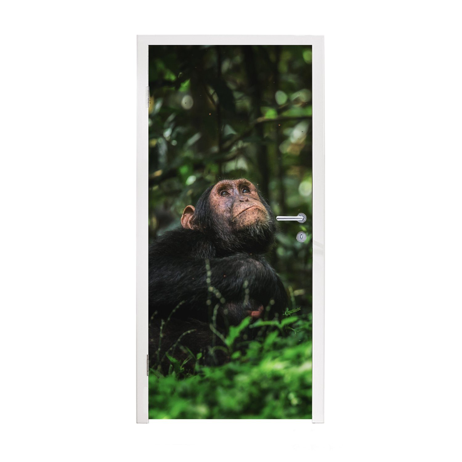 MuchoWow Türtapete App zwischen Grünpflanzen im Dschungel, Matt, bedruckt, (1 St), Fototapete für Tür, Türaufkleber, 75x205 cm