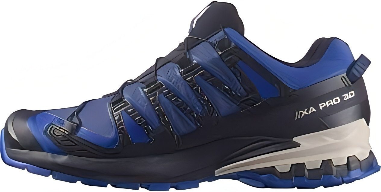 Salomon XA PRO 3D V9 GTX günstig online kaufen