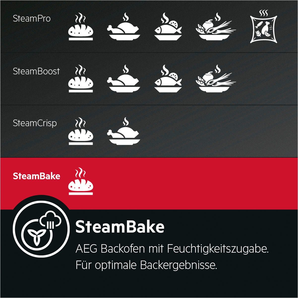 TEAMH3PID2, AEG Induktions Pyrolyse-Selbstreinigung Herd-Set