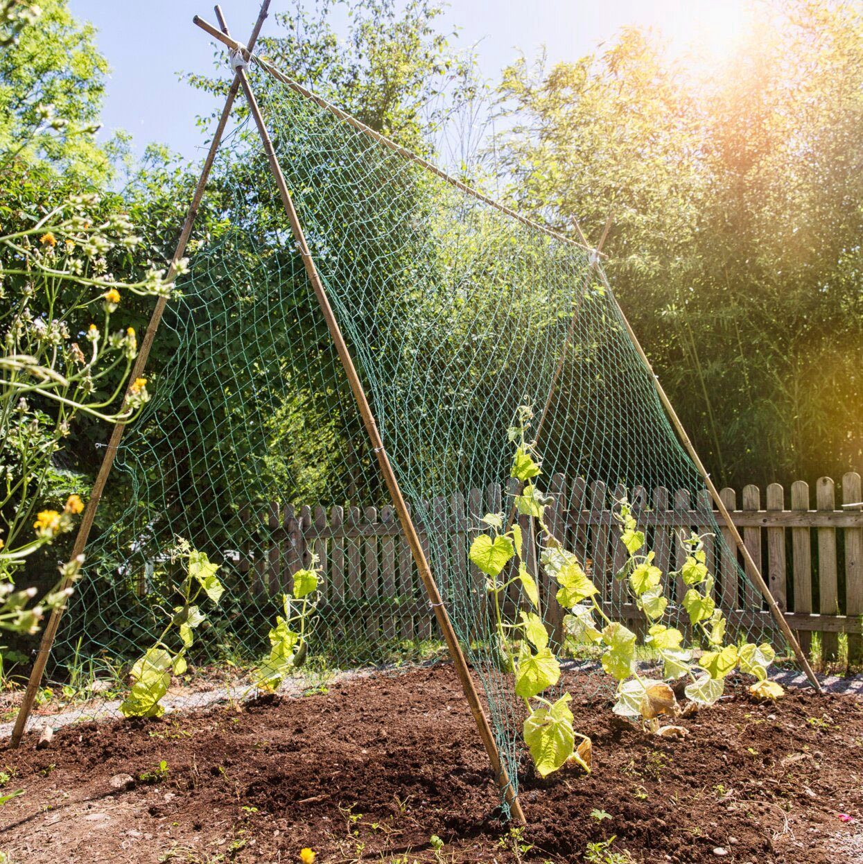 Windhager Rankhilfe, Ranknetz aus starken Monofilament-Kunststofffäden
