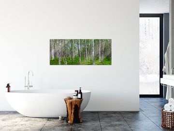 Pixxprint Glasbild Birkenwald, Birkenwald (1 St), Glasbild aus Echtglas, inkl. Aufhängungen und Abstandshalter