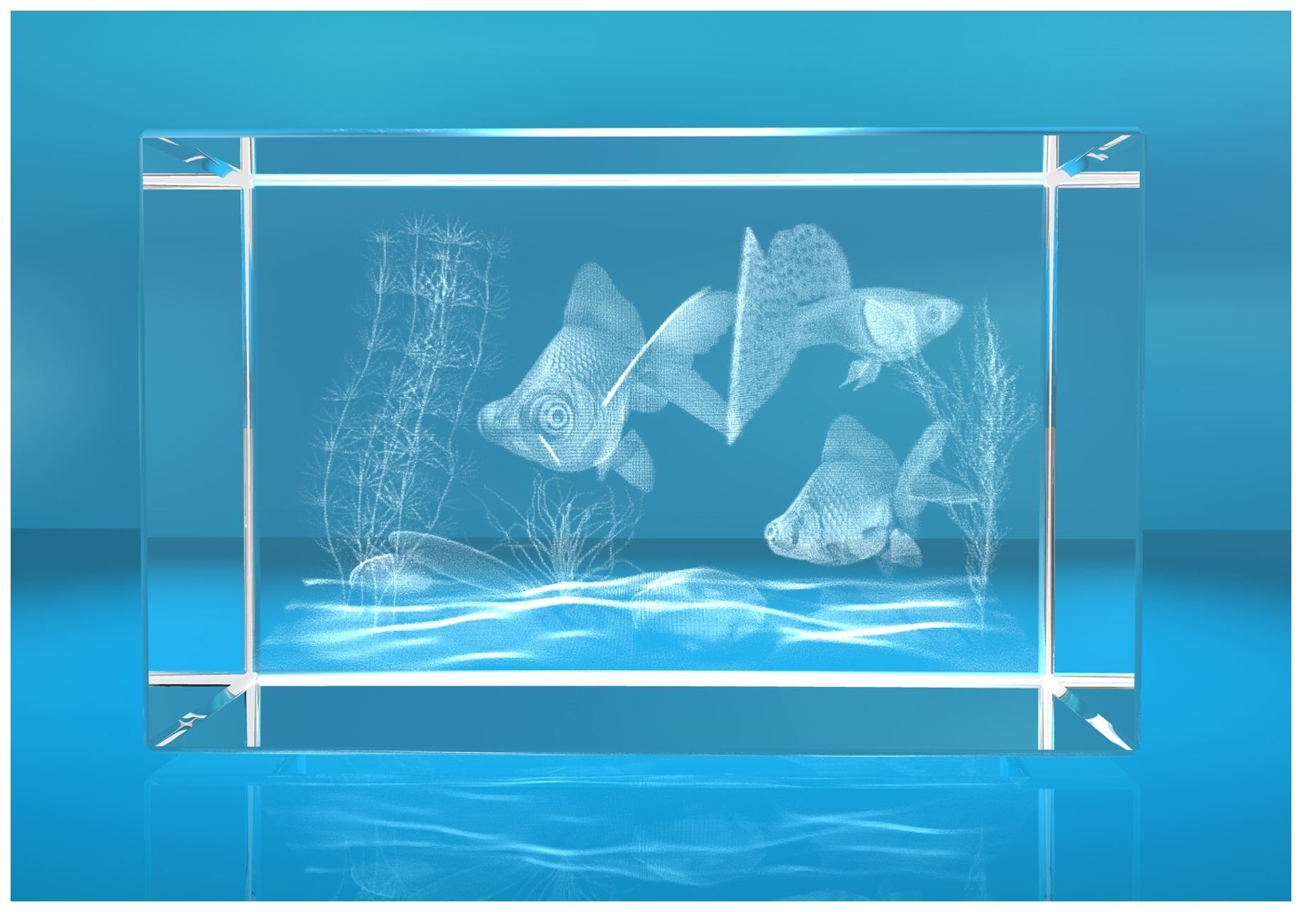 VIP-LASER Dekofigur 3D Glasquader Motiv: Aquarium, Hochwertige Geschenkbox, Made in Germany, Familienbetrieb