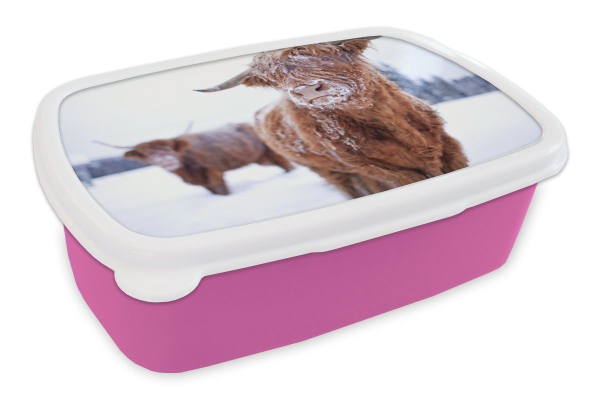 MuchoWow Lunchbox Schottischer Highlander - Schnee - Schneeflocke - Fell, Kunststoff, (2-tlg), Brotbox für Erwachsene, Brotdose Kinder, Snackbox, Mädchen, Kunststoff rosa