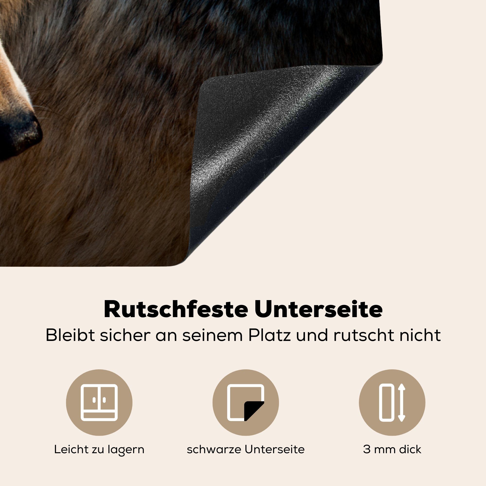 MuchoWow Schutz Leichter Induktionskochfeld Ceranfeldabdeckung Polarwolf, (1 die Herdblende-/Abdeckplatte tlg), 81x52 für cm, Vinyl, küche,