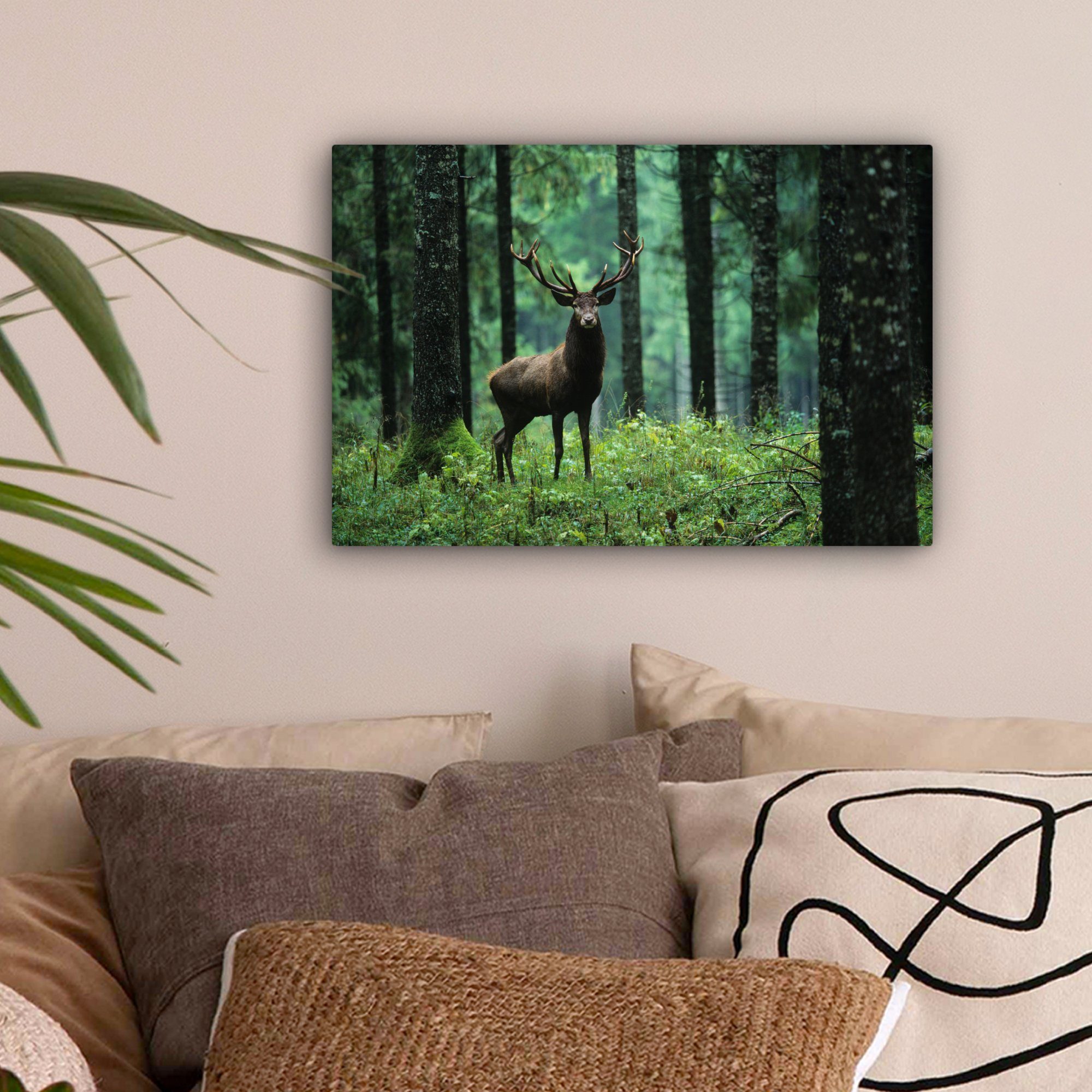 OneMillionCanvasses® Leinwandbild Hirsche - Wald - Bäume - Tiere - Natur, F günstig online kaufen