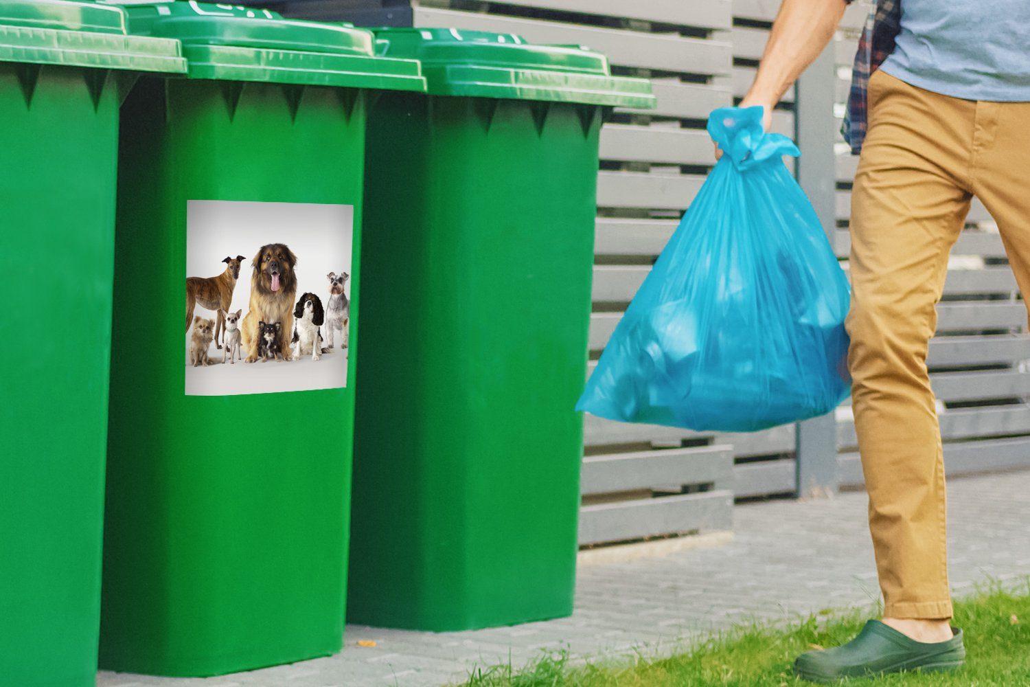 MuchoWow St), Wandsticker Gruppenbild Mülleimer-aufkleber, Mülltonne, Container, Sticker, (1 von Hunden Abfalbehälter