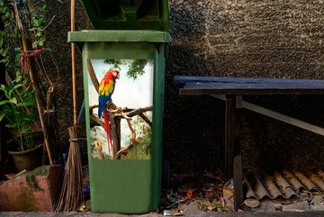 MuchoWow Wandsticker Papagei - Vogel - Regenbogen - Tropisch (1 St), Mülleimer-aufkleber, Mülltonne, Sticker, Container, Abfalbehälter