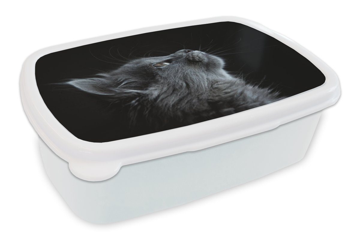 MuchoWow Lunchbox Katze - Licht - Schwarz, Kunststoff, (2-tlg), Brotbox für Kinder und Erwachsene, Brotdose, für Jungs und Mädchen weiß