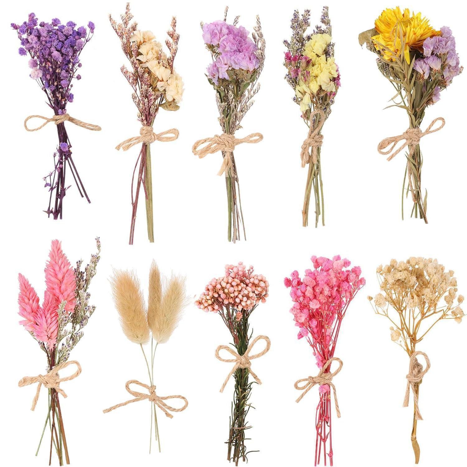 Trockenblume Mini Trockenblumenstrauß 10er Boho Deko Schleierkraut, LuxusKollektion, Höhe 5 cm