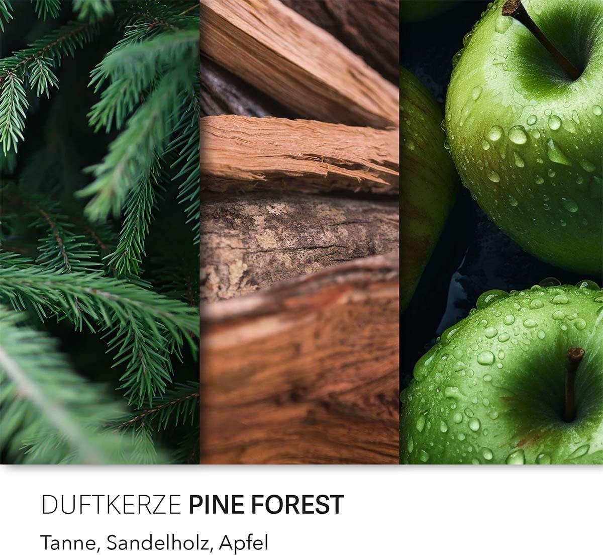 Candle BROTHERS Duftkerze Candle Brothers Duftkerze „Pine Forest“ – Frischer Waldduft, 510g (Einzeln, 1-tlg., Einzeln), Candle Brothers Düfte – Bild 4 von 5