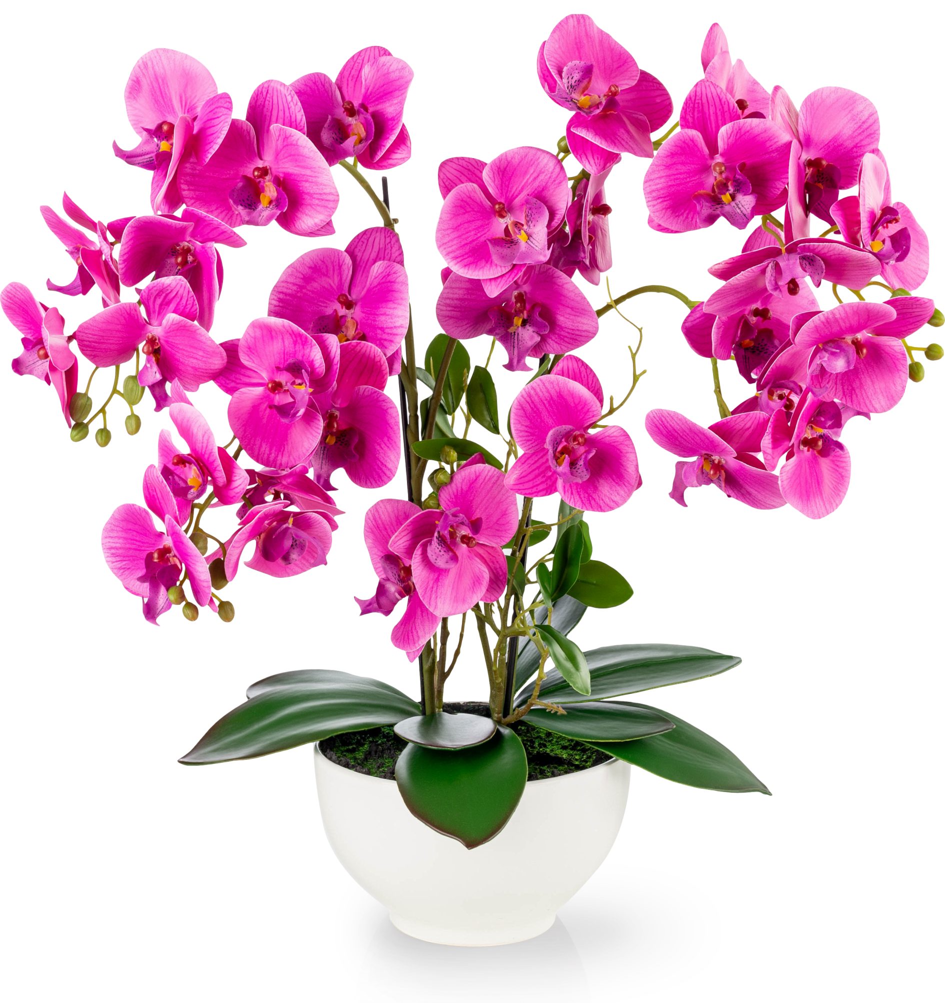 Kunstorchidee PASCH® XXL Orchidee künstlich wie echt (56cm) in Hochglanz-Keramiktopf Orchidee, PASCH