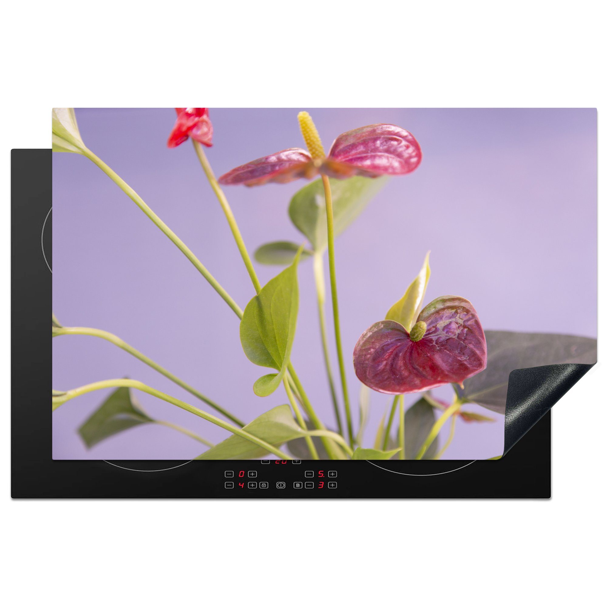 MuchoWow Herdblende-/Abdeckplatte Anthurium 81x52 (1 Blüten auf Hintergrund, fliederfarbenem Ceranfeldabdeckung für mit küche, Schutz roten tlg), Vinyl, cm, die Induktionskochfeld