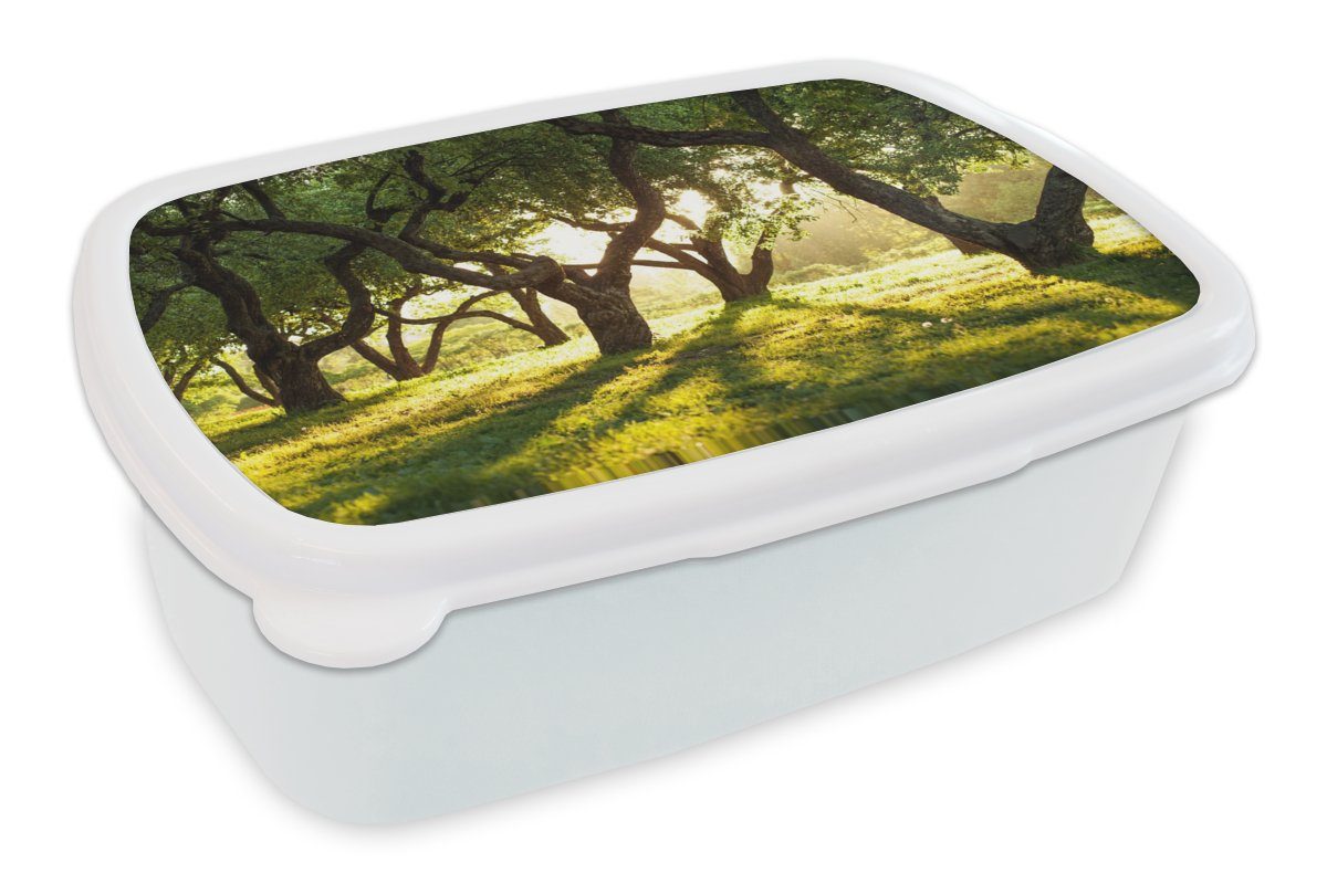 Lunchbox MuchoWow Natur Sonne, Kinder und (2-tlg), und Bäume weiß Brotdose, - - für Jungs Kunststoff, Erwachsene, für Mädchen Brotbox