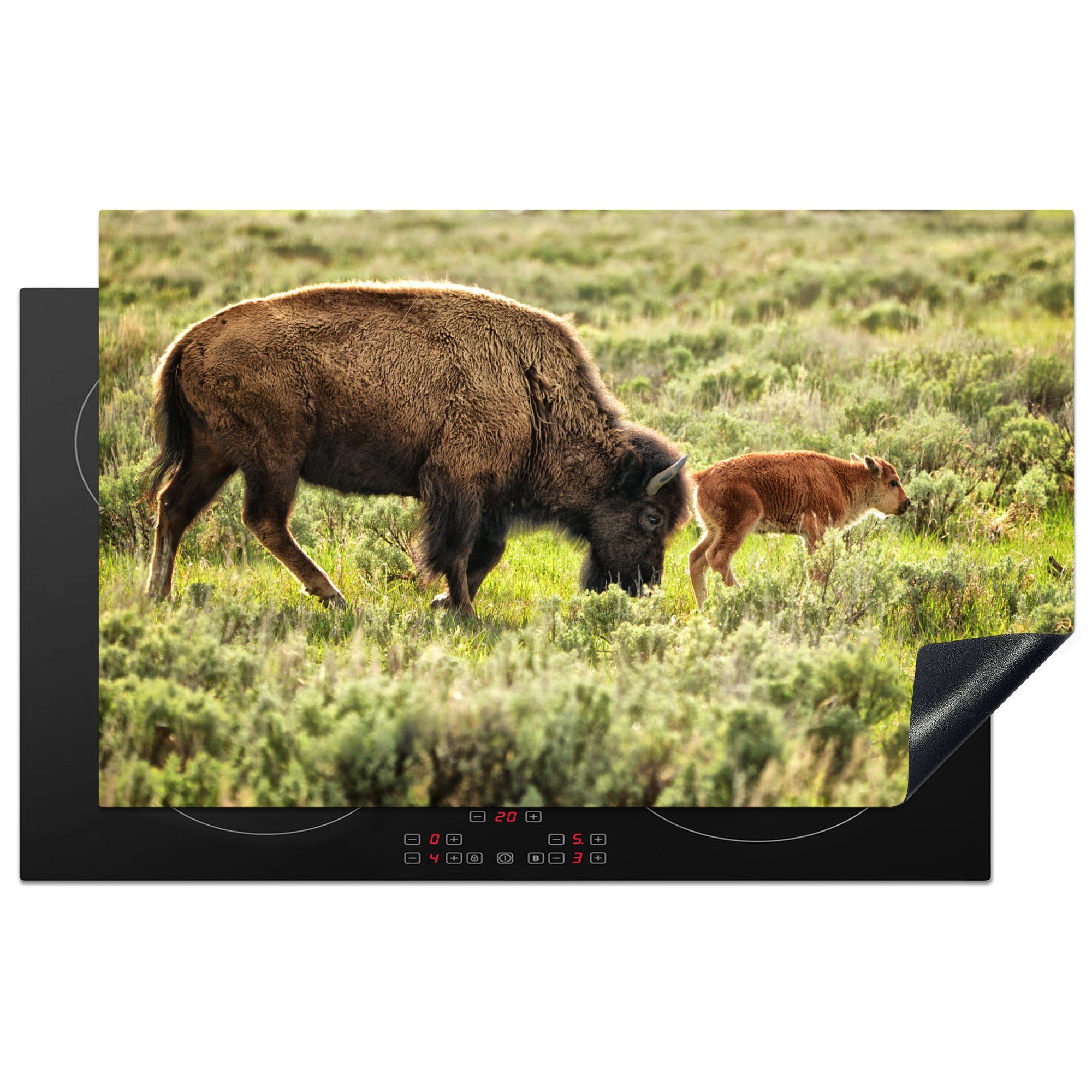 MuchoWow Herdblende-/Abdeckplatte Bison mit Baby in Wyoming, Vinyl, (1 tlg), 83x51 cm, Ceranfeldabdeckung, Arbeitsplatte für küche
