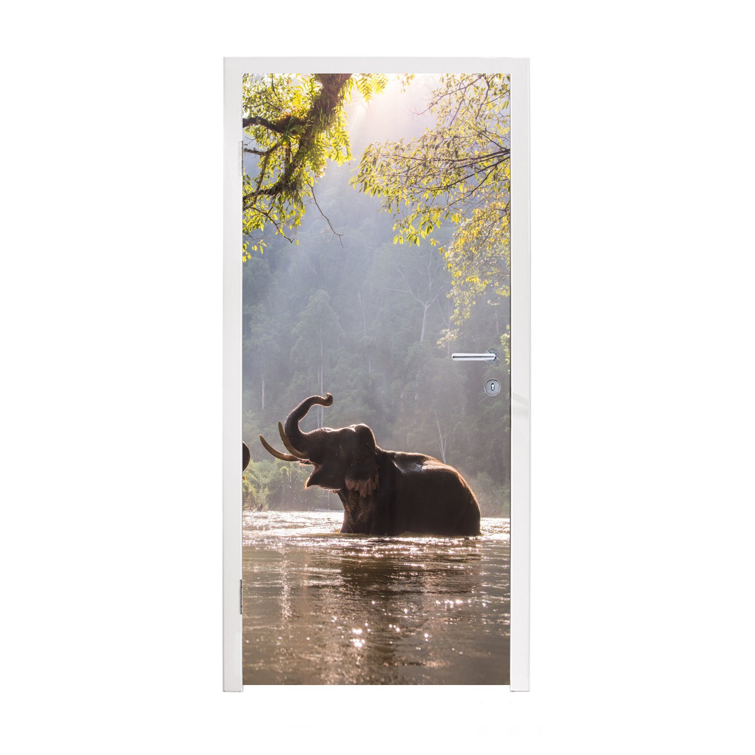 cm Elefant Matt, 75x205 Tür, Türtapete - Bäume MuchoWow (1 für Tiere Wasser Türaufkleber, - St), Sonne, bedruckt, - - Fototapete