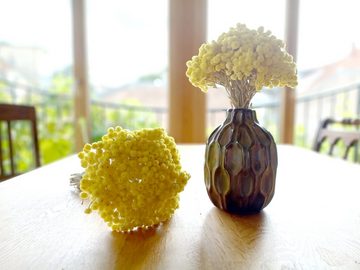 Trockenblume Immortelle getrocknet Gelb Trockenblumen Blumenstrauß Immortelle, ROSEMARIE SCHULZ Heidelberg, Höhe 30 cm, 30 cm lang - 15-20 Stiele
