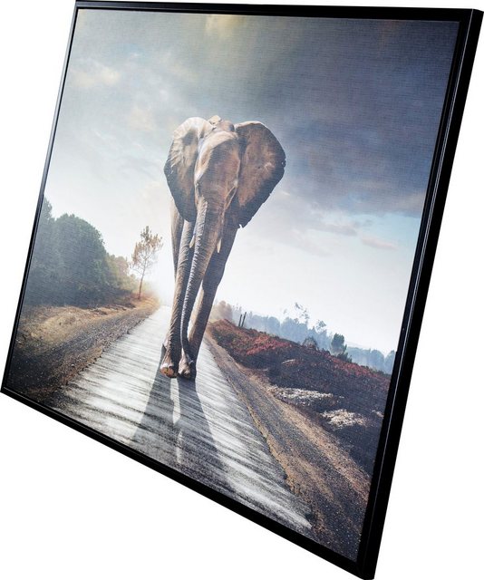 Spiegelprofi GmbH Bild mit Rahmen »Street elephant«, (1 Stück), hochwertiger Kunstdruck, Rahmen schwarz-Otto