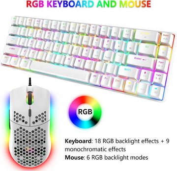 ZIYOU LANG RGB-LED-Hintergrundbeleuchtung Tastatur- und Maus-Set, ProfessionelleMechanik,individuelle Mausbeleuchtung Komfort Funktionen