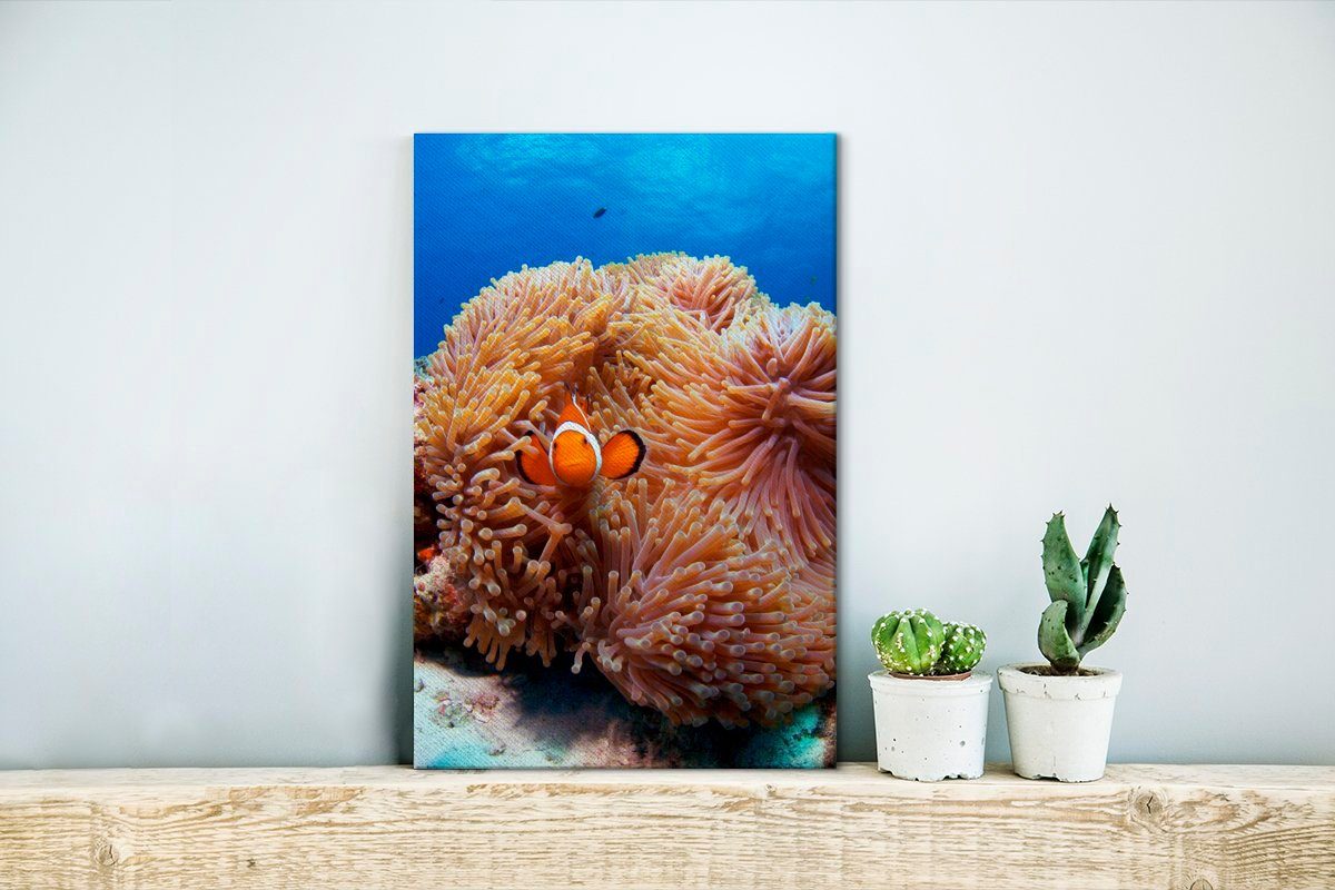 Leinwandbild bespannt OneMillionCanvasses® Leinwandbild St), Gemälde, Fisch, - - Anemone Nemo fertig cm (1 Zackenaufhänger, 20x30 inkl.