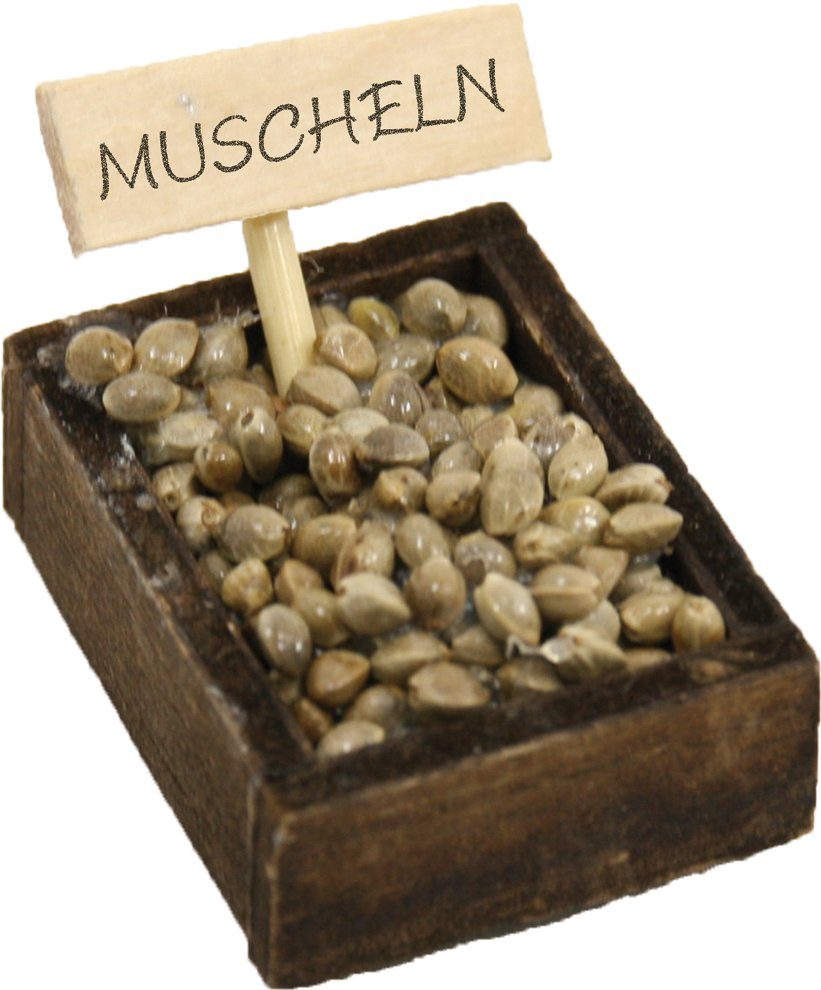 (1 cm: Krippen-Zubehör Höhe FADEDA St) 2,5 FADEDA Muschelkiste, in