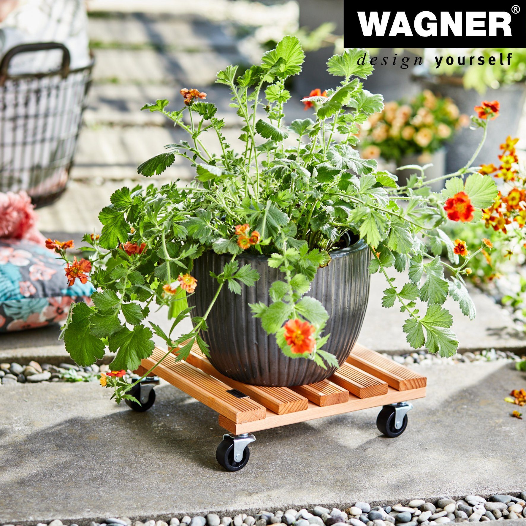 WAGNER design yourself Pflanzenroller NATURE in diversen Größen I für Innenbereich I rund und eckig I aus FSC® Massivholz, unterschiedliche Farben I Tragkraft 100 kg - Made in EU