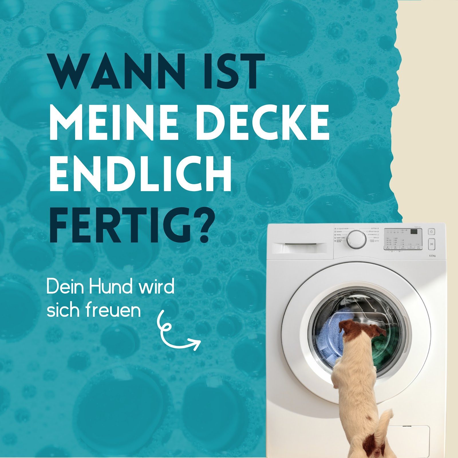 nimo Waschmittel für Hundebekleidung Spezialwaschmittel (1-St. für empfindliche Haut geeignet)