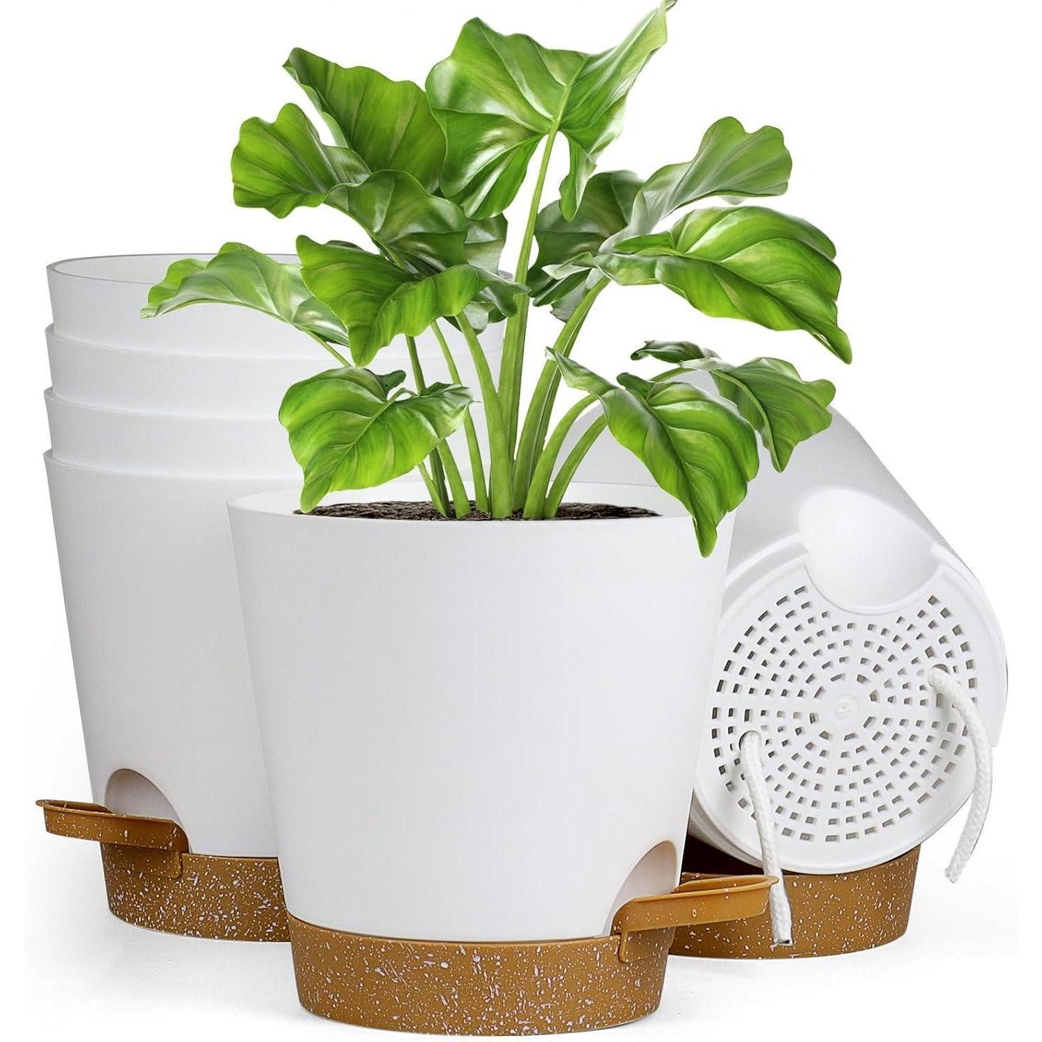 LuxusKollektion Blumentopf Blumentopf selbstbewässernd 6er Untersetzer Φ 17.8cm Weiß brown Tray