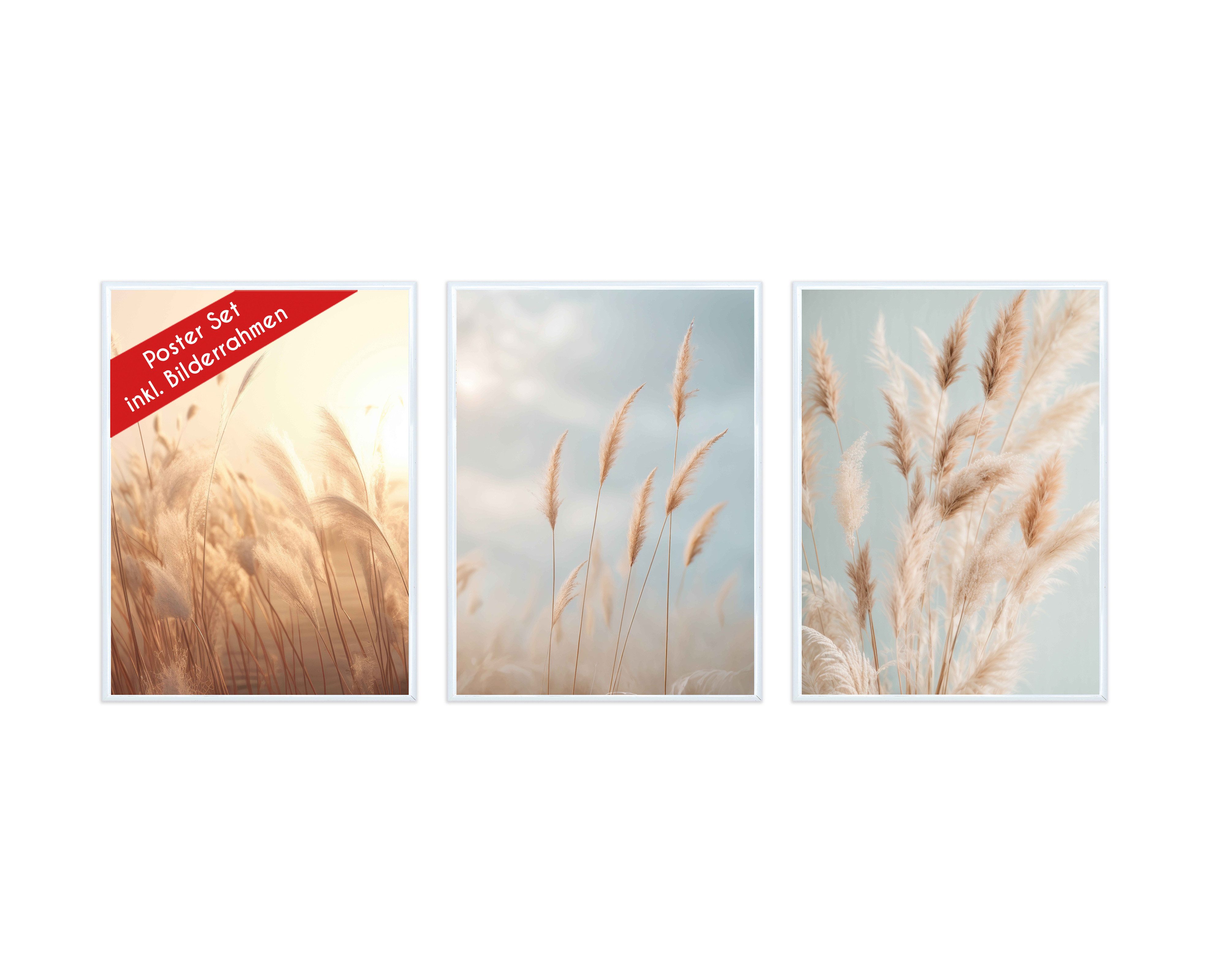 Wackadoo Living Poster Set inklusive Bilderrahmen, Pampasgras (3er Set), Bildformat 30 x 40 cm