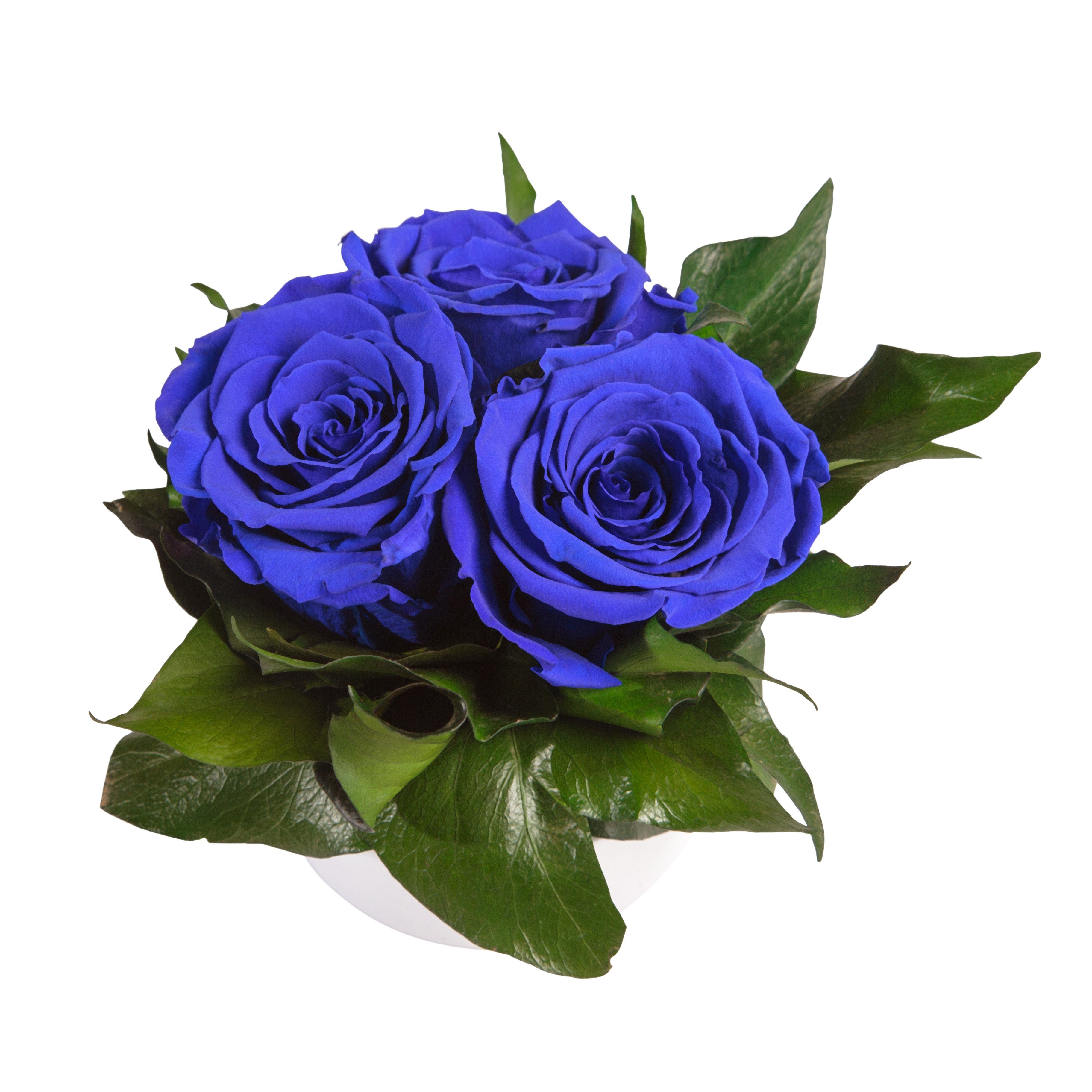 Kunstblume Rosenbox weiß rund 3 echte Infinity Rosen konserviert Rose, ROSEMARIE SCHULZ Heidelberg, Höhe 10 cm, Geschenk für Sie Rosen, Made in Germany