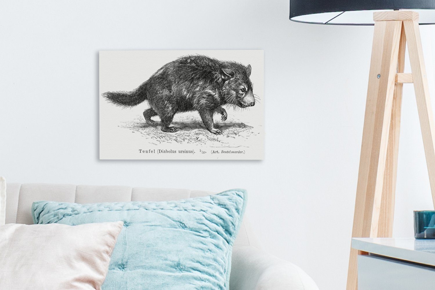 OneMillionCanvasses® Leinwandbild Eine Wandbild 30x20 tasmanischen eines Teufels, cm Wanddeko, Leinwandbilder, St), Aufhängefertig, (1 Illustration