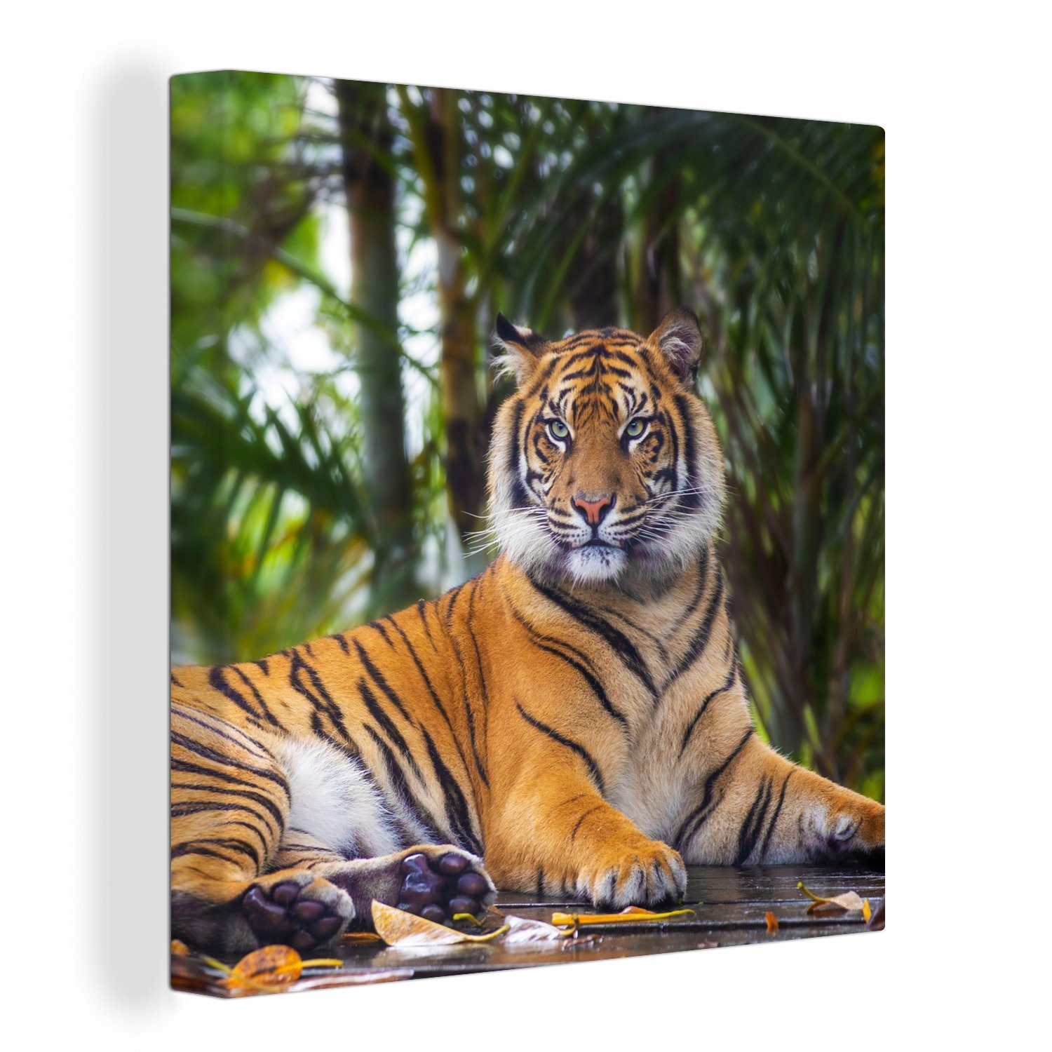 OneMillionCanvasses® Leinwandbild Tiger - Tiere - Wald - Dschungel, (1 St), Leinwand Bilder für Wohnzimmer Schlafzimmer