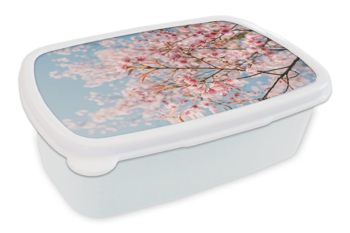 MuchoWow Lunchbox Sakura - Frühling - Zweige, Kunststoff, (2-tlg), Brotbox für Kinder und Erwachsene, Brotdose, für Jungs und Mädchen weiß