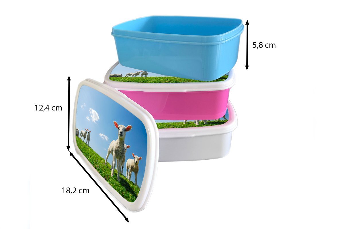 Kunststoff - Kinder, für Mädchen, Lunchbox (2-tlg), Brotdose MuchoWow Erwachsene, Kunststoff, - Snackbox, Brotbox Frühling Schafe rosa Landschaft,